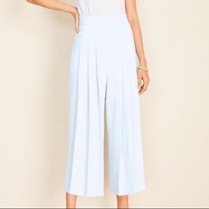 Ann Taylor wide leg pleated culottes